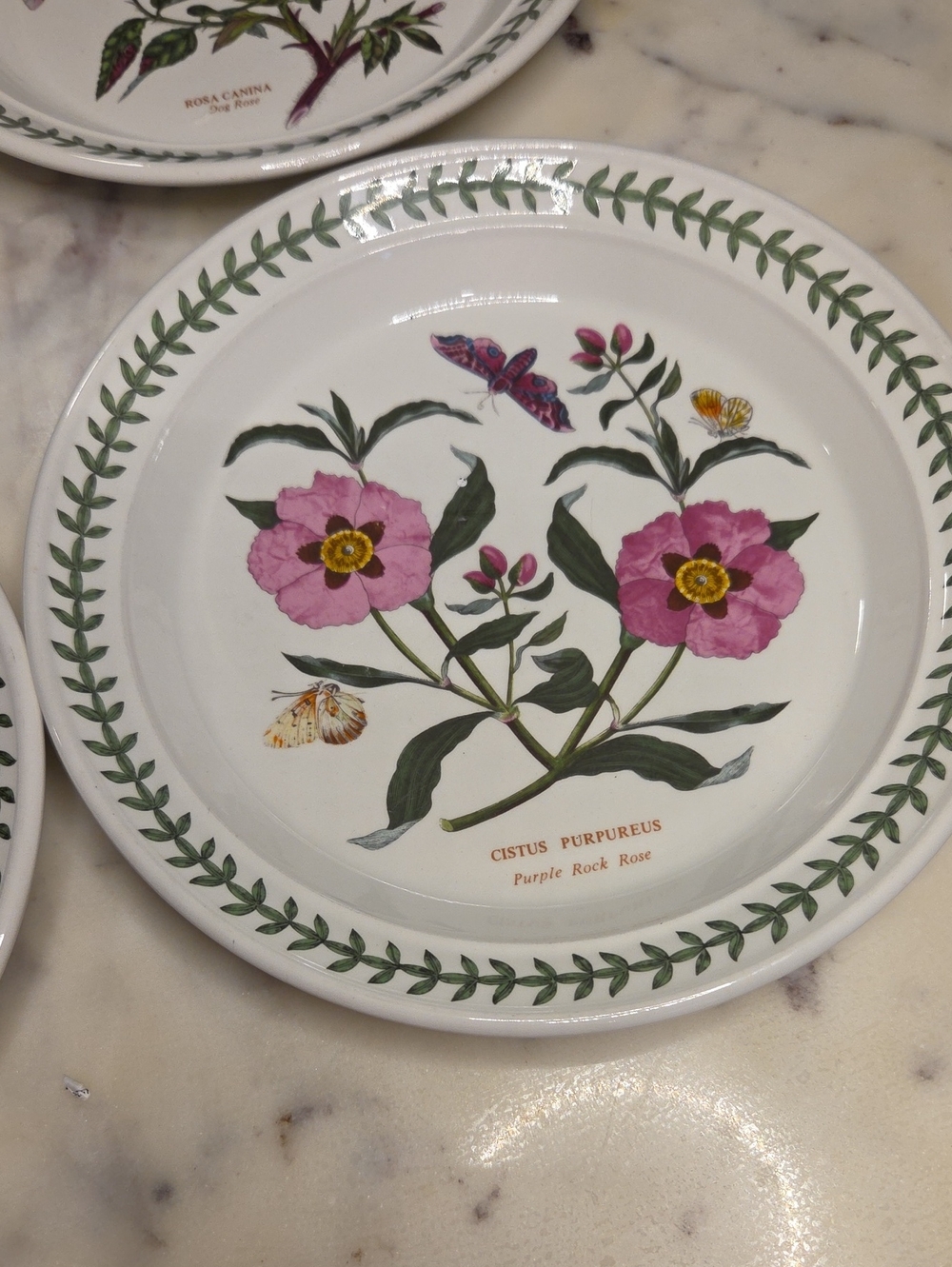 Vintage Portmeirion The Botanic Garden Floral Salad Plates 1972 | Britian Set 4 - Picture 3 of 13